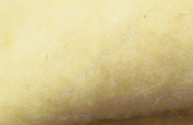 Кардочес из полутонкой шерсти фото |от производителя компании Одеялко