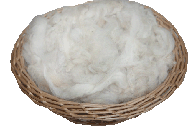 Шерсть овечья (наполнитель) фото |от производителя компании Одеялко