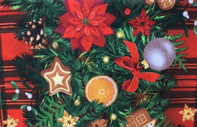 Дорожка вафельная набивная 165гр, размер 050х150 см фото |от производителя компании Одеялко