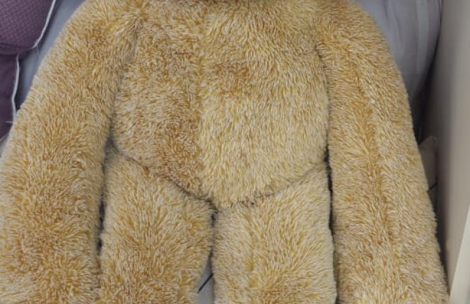 Подушка-игрушка 7-я Ленивец + плед м/ф велюр/искуств. мех (ТАЧ) фото |от производителя компании Одеялко