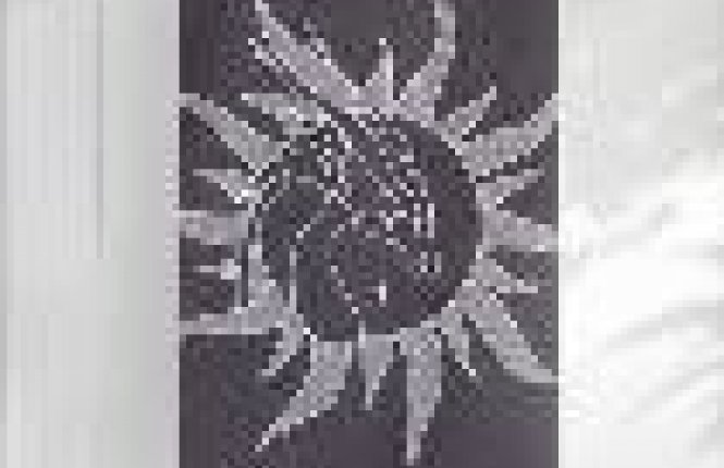 Полотенце СТ МХ42 50/90 Дракон вид2 серый/белый (НТ) фото |от производителя компании Одеялко