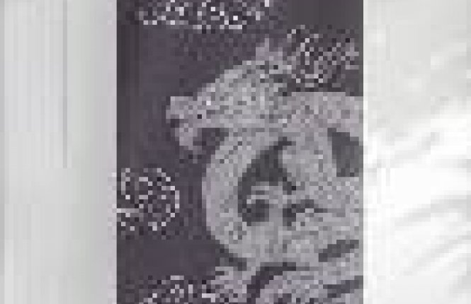 Полотенце СТ МХ42 70/140 Дракон вид3 серый/белый (НТ) фото |от производителя компании Одеялко