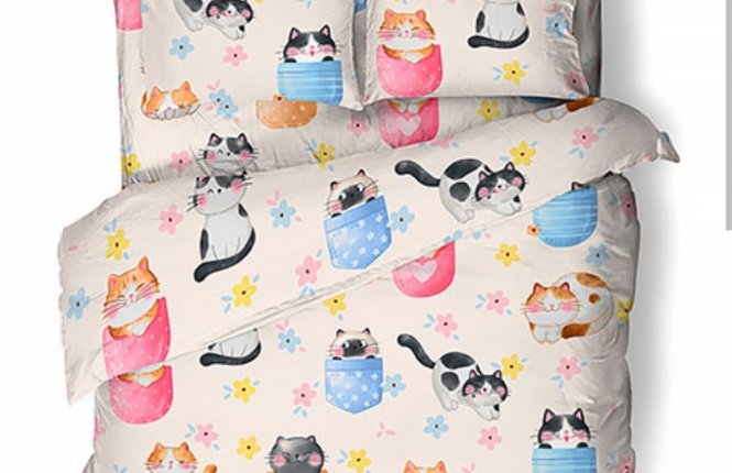Комплект постельного белья 1,5 спальный Поплин (120 гр/кв.м.) 1 наволочка Котики в чашках фото |от производителя компании Одеялко